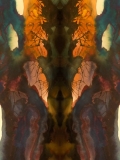 54374608_2567653503275893_6808688315772960768_o