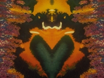 58619862_2648573648517211_894857535633227776_o