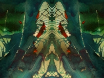 60184046_2697040987003810_2562286749019537408_o