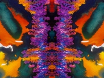 60241943_2702550179786224_4774815348845182976_o