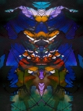 64561073_2776860855688489_144999783835107328_o