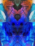 DSCN2651a01a