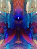 DSCN2655a